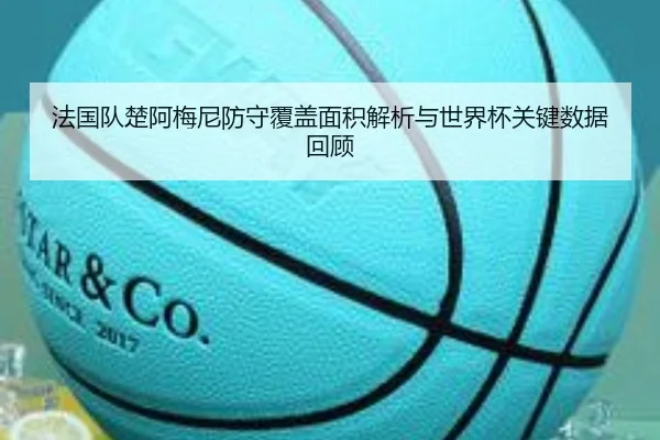 法国队楚阿梅尼防守覆盖面积解析与世界杯关键数据回顾（c7c7）
