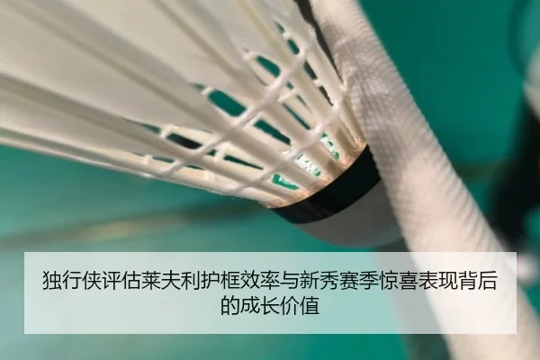 独行侠评估莱夫利护框效率与新秀赛季惊喜表现背后的成长价值